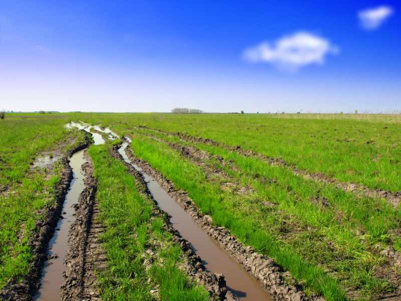 Finished Land Surface